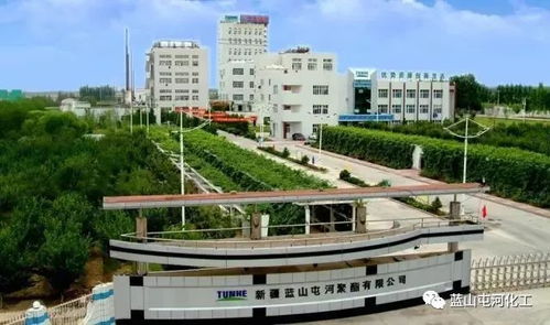 聚酯公司榮膺自治區(qū)綠色工廠稱(chēng)號(hào) 以技術(shù)引領(lǐng)，鑄就綠色可持續(xù)發(fā)展新標(biāo)桿